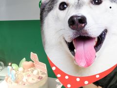 -好利来(光华中心店)