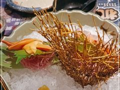 -古田居·特色寿司料理(星之岛旗舰店)