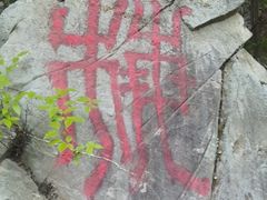 -阳台山自然风景区