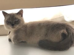 -一间摄影工作室(天安云谷店)