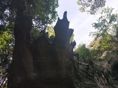 -梭布垭石林景区