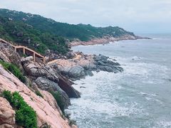 -广东惠东海龟国家级自然保护区