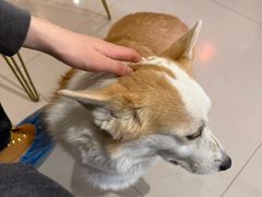 -平行世界·猫咖(首经贸店)