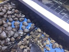 -聚盛源蒸汽海鲜火锅烤肉自助(巨川金海岸购物广场店)