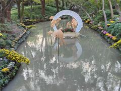 -汇龙潭
