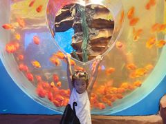 -芜湖新华联大白鲸海洋公园