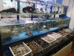 -富临港·蒸汽海鲜·手抓海鲜·炒菜(栈桥店)