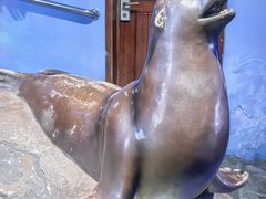 -太平洋海底世界