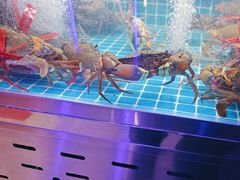 -徐记小怪兽肉蟹煲店(哈西万达金街店)