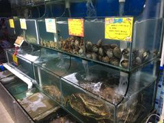 水产区-蚝专家(北滘店)