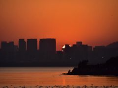 -深圳湾公园(南山区)