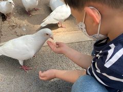 -青城公园