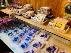 -富田农场