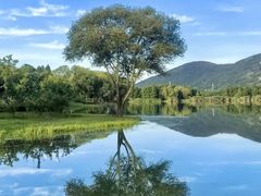 -长广溪湿地公园
