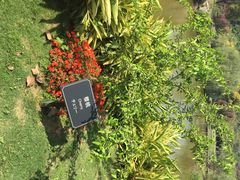 悦华酒店-厦门悦华酒店