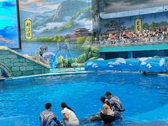 -海合安成都极地海洋公园