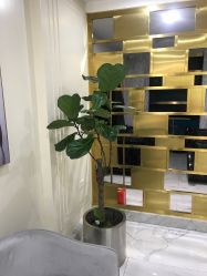 -3AM HAIR SALON染发接发