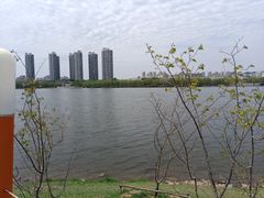 -长白岛森林公园