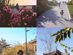 公园北门景色-南海子公园