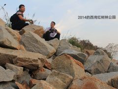 -宝安西湾红树林湿地公园