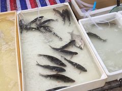 -江汉区姑嫂树菜市场