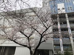 -东京国立博物馆