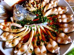 -临水阁农家乐饭店