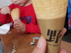 -野人先生现做冰淇淋(北京顺义祥云小镇店)