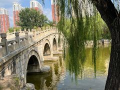 -迎泽公园