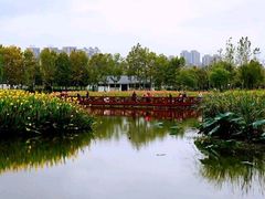 -金银湖国家城市湿地公园