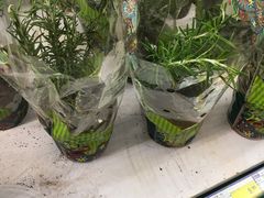 -麦德龙(郑东店)