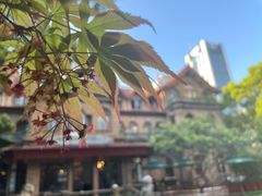 -马勒别墅·中餐厅