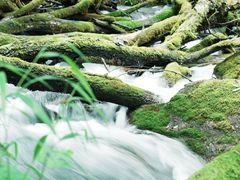 -叠溪松坪沟景区