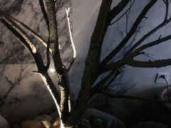 -固元堂(摩方分院)