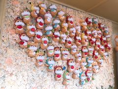 -柴犬高等学院·狗咖·柴犬售卖·宠物训练