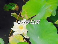 -黄兴公园