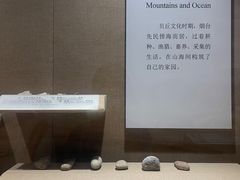 -烟台市博物馆