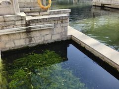 -环城公园