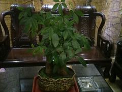 -富侨养生(康乾店)