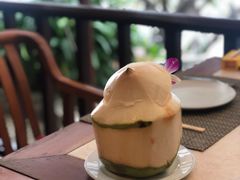 -卷心菜和避孕套餐厅(Pattaya)