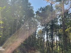 -青龙山国家森林公园