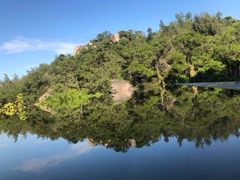 -厦门园林植物园-植物园滴水山房