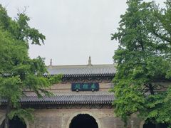 -灵谷景区
