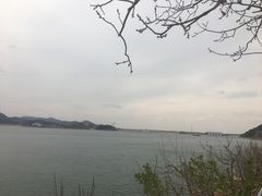 -望湖烤鱼