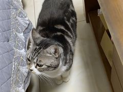 -北京观赏动物医院·24小时大型综合·猫专科·异宠专科