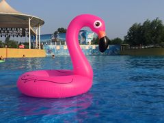 -海盗传奇水世界