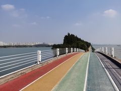 -贡湖湾湿地公园