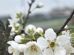 -中国天府农业博览园