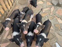 -HERRE·FARM 赫尔露营农场·团建聚会包场