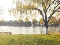 -李公庙糖油粑粑(李公庙巷店)